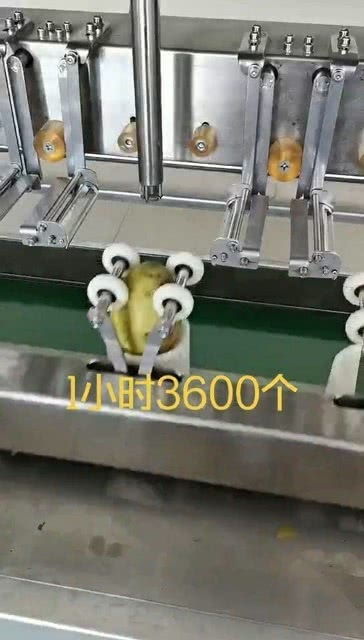 自動化削皮神器 智能制造助力食品加工與助農事業(yè)